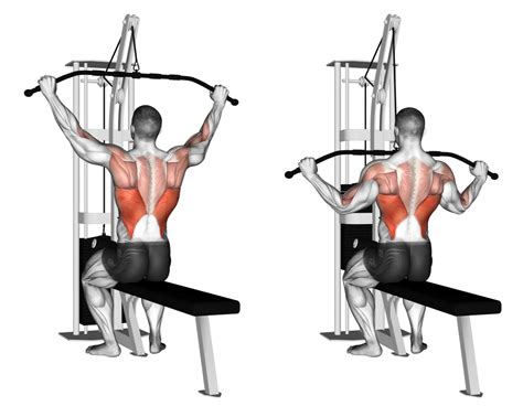 Lat pull downs - Straight Arm Lat Pull Down Instructions. Attach a wide grip handle to a cable stack and assume a standing position. Grasp the handle with a pronated grip (double overhand) at roughly shoulder width and lean …